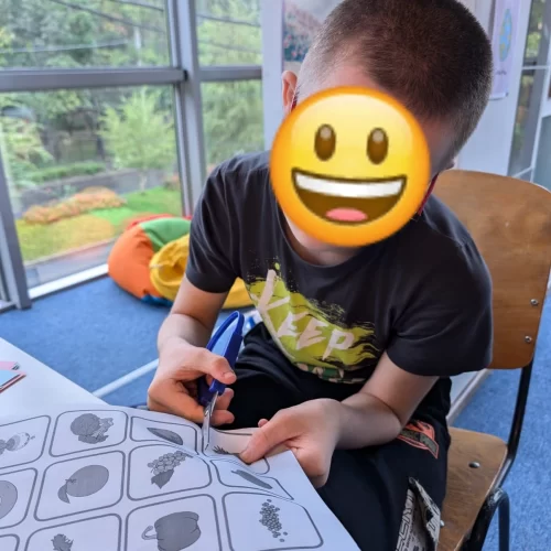 4. Activități educ-terapeutice