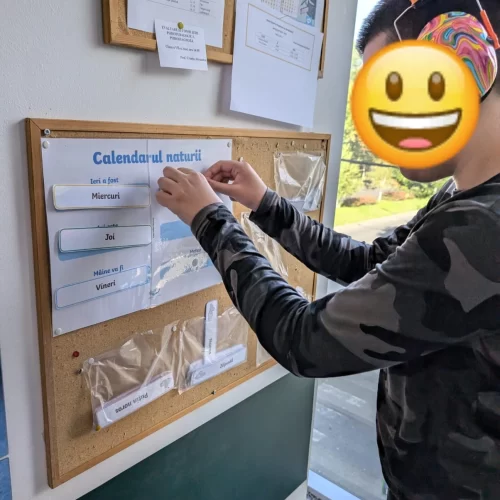 Activități terapeutice corectiv – compensatorii